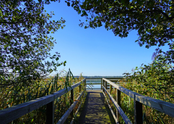 Müritz-Nationalpark Müritz-Nationalpark