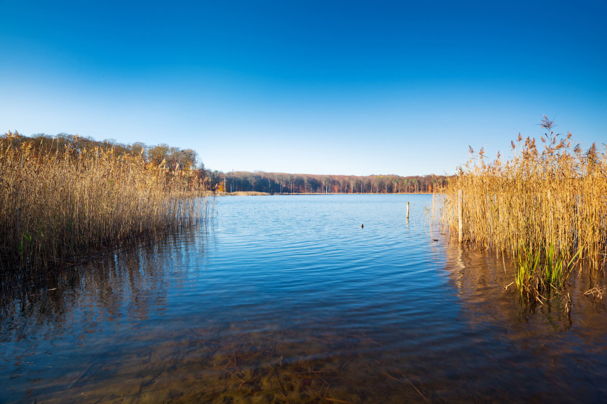 Müritz-Nationalpark Müritz-Nationalpark